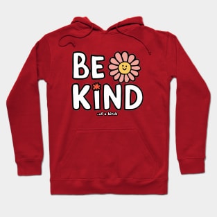 Be Kind Of A Bitch Funny Sarcastic Quote Hoodie